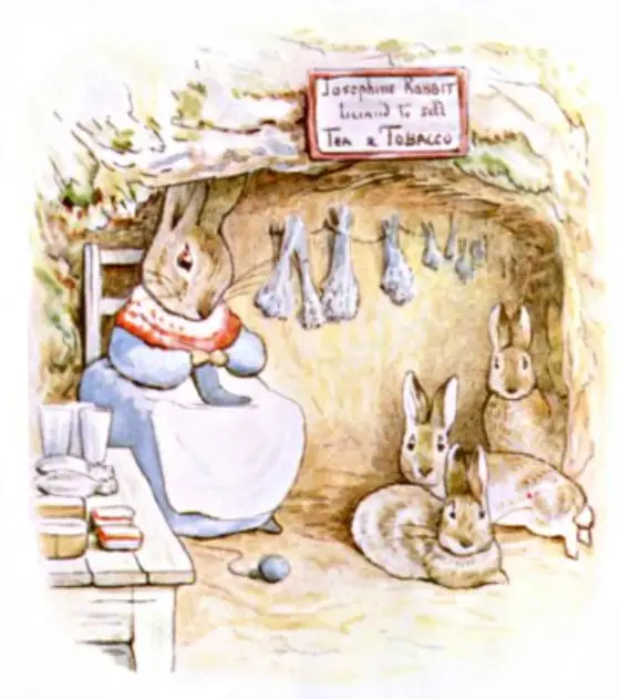 Beatrix Potter's picture for the passage: One morning a little rabbit sat on a bank.…