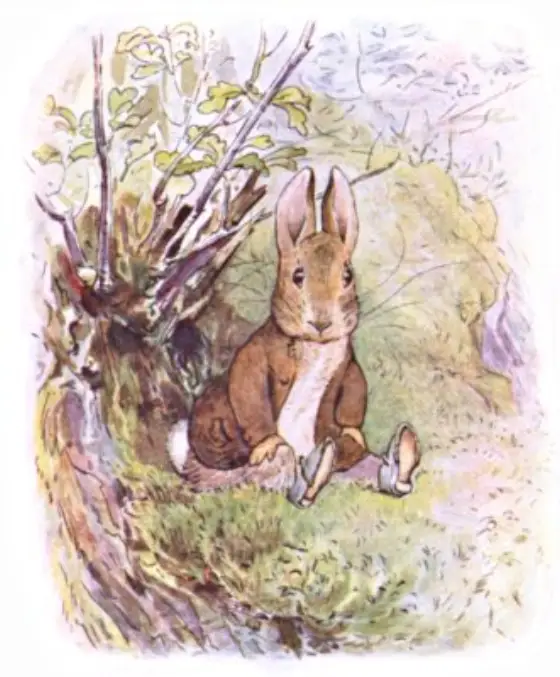 Beatrix Potter's picture for the passage: One morning a little rabbit sat on a bank.…