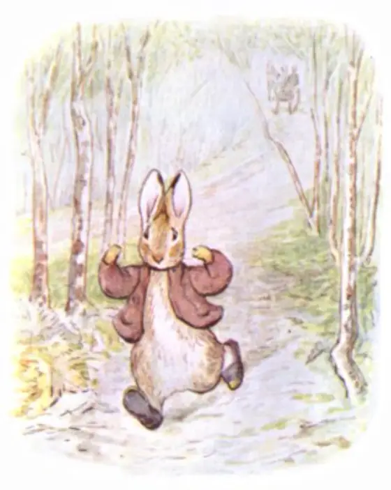 Beatrix Potter's picture for the passage: As soon as they had passed, little Benjamin Bunny…