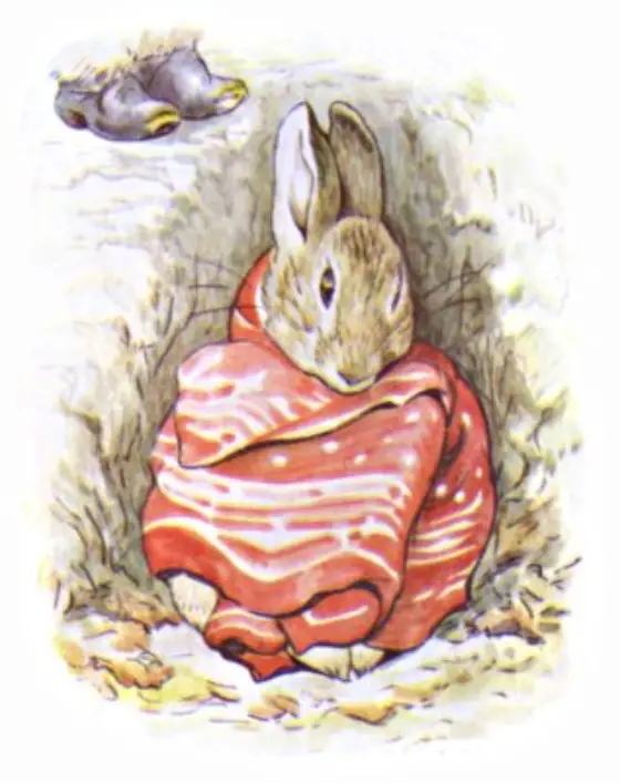 Beatrix Potter's picture for the passage: Peter was sitting by himself. He looked poorly, and…