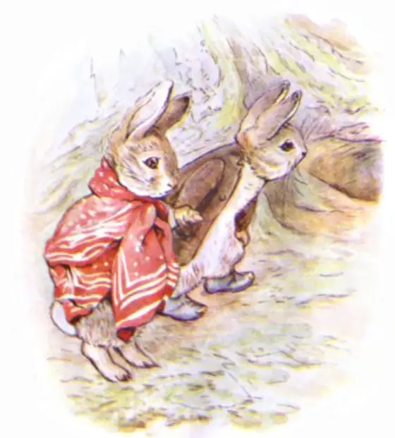 Beatrix Potter's picture for the passage: Peter said he hoped that it would rain.…