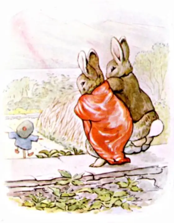 Beatrix Potter's picture for the passage: They went away hand in hand, and got upon…