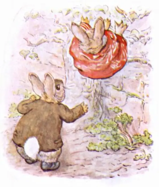 Beatrix Potter's picture for the passage: Little Benjamin said: "It spoils people's clothes to squeeze…