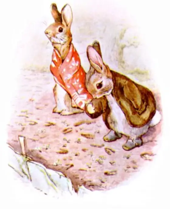 Beatrix Potter's picture for the passage: They left a great many odd little footmarks all…