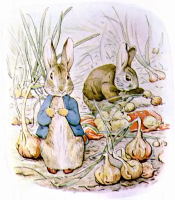 Beatrix Potter's picture for the passage: Then he suggested that they should fill the pocket-handkerchief…