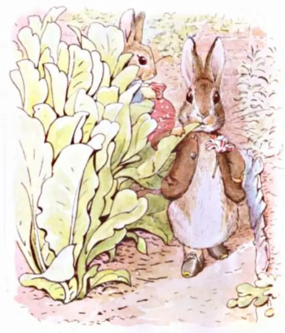 Beatrix Potter's picture for the passage: Benjamin, on the contrary, was perfectly at home, and…