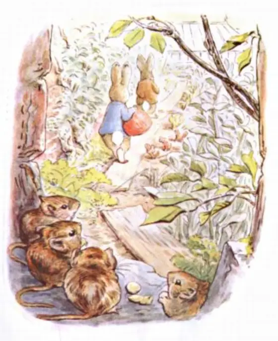 Beatrix Potter's picture for the passage: Little Benjamin said that it was not possible to…