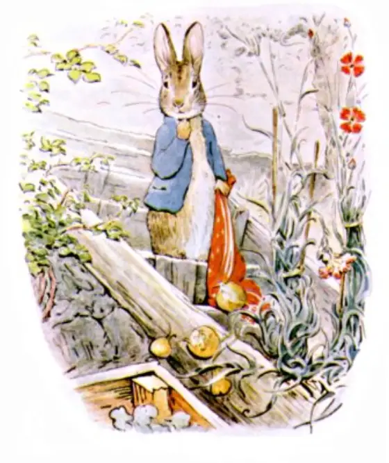 Beatrix Potter's picture for the passage: Presently Peter let the pocket-handkerchief go again.…
