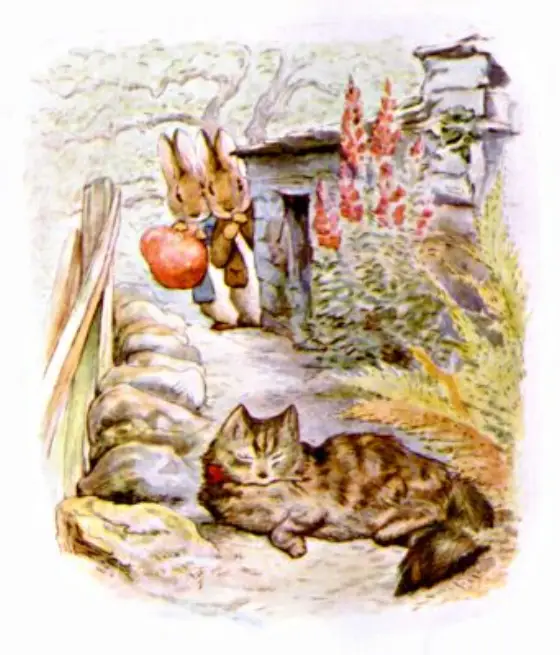Beatrix Potter's picture for the passage: This is what those little rabbits saw round that…