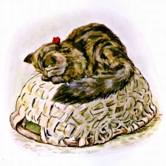 Beatrix Potter's picture for the passage: She sat there for five hours .…