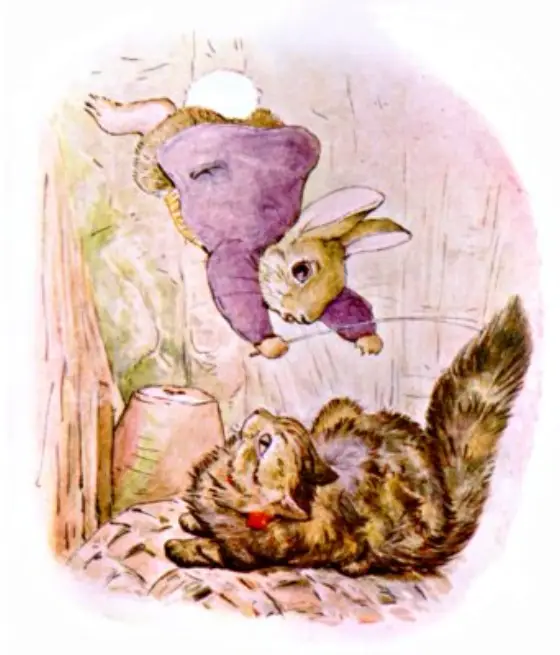 Beatrix Potter's picture for the passage: Old Mr. Bunny had no opinion whatever of cats.…
