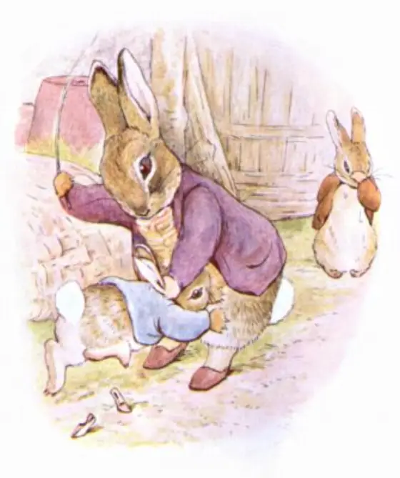 Beatrix Potter's picture for the passage: When old Mr. Bunny had driven the cat into…