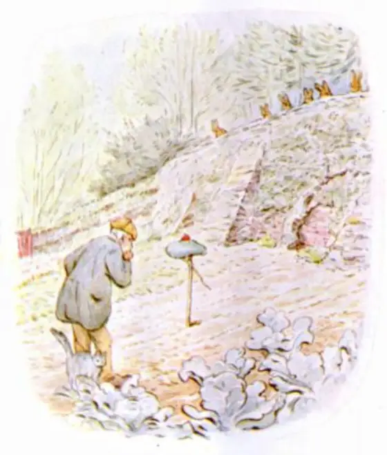 Beatrix Potter's picture for the passage: When Mr. McGregor returned about half an hour later…