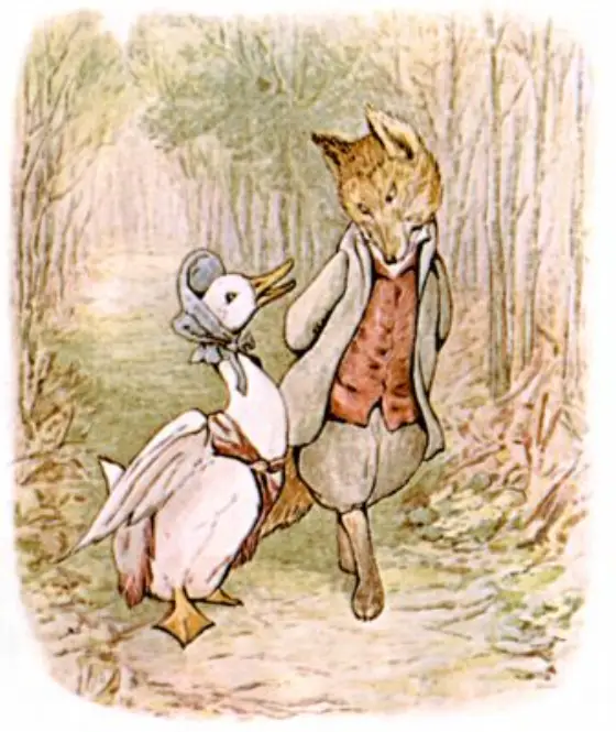 Beatrix Potter's picture for the passage: What a funny sight it is to see a…