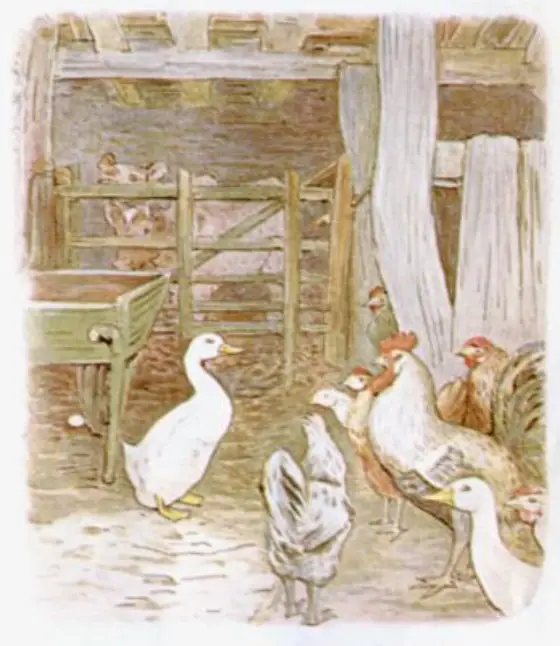 Beatrix Potter's picture for the passage: Her sister-in-law, Mrs. Rebeccah Puddle-duck, was perfectly willing to…