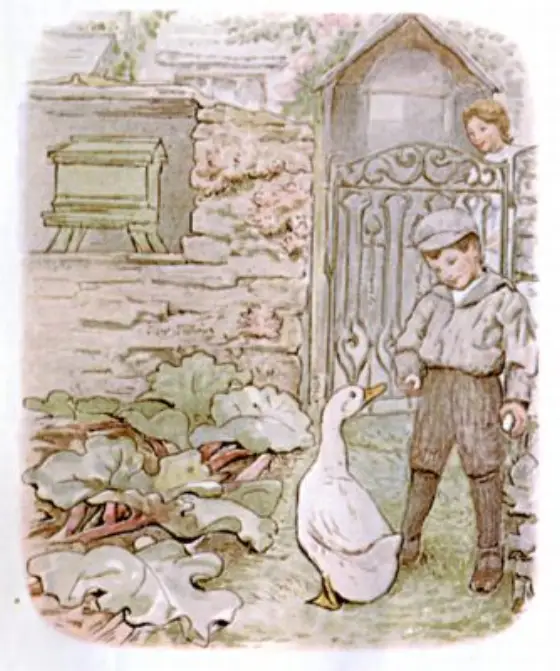 Beatrix Potter's picture for the passage: She tried to hide her eggs; but they were…