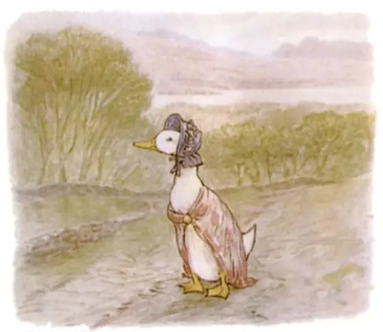 Beatrix Potter's picture for the passage: When she reached the top of the hill, she…