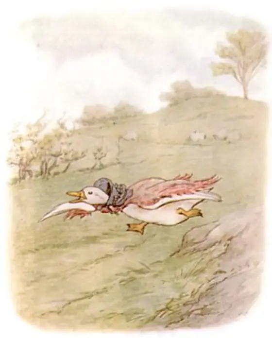 Beatrix Potter's picture for the passage: Jemima Puddle-duck was not much in the habit of…
