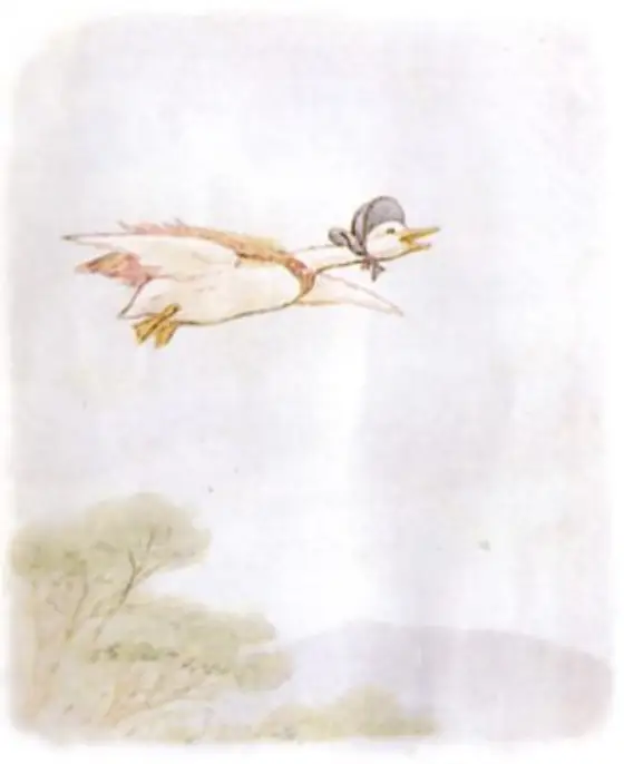 Beatrix Potter's picture for the passage: She flew beautifully when she had got a good…