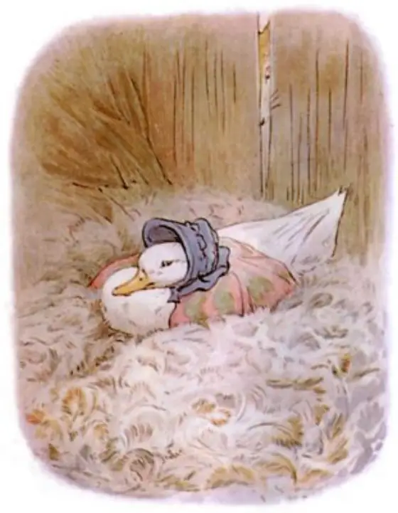 Beatrix Potter's picture for the passage: The shed was almost quite full of feathers—it was…