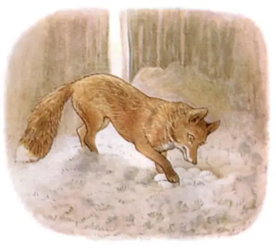 Beatrix Potter's picture for the passage: Jemima Puddle-duck came every afternoon; she laid nine eggs…