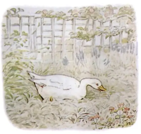Beatrix Potter's picture for the passage: Jemima Puddle-duck was a simpleton: not even the mention…