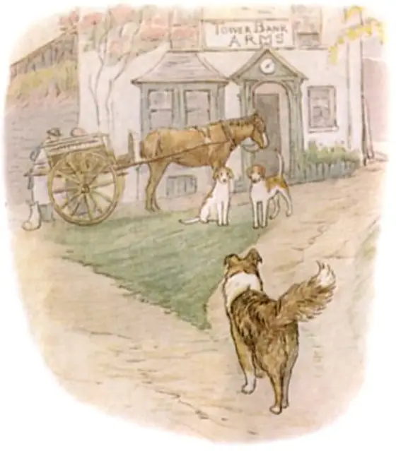 Beatrix Potter's picture for the passage: He asked several questions about the wood, and about…