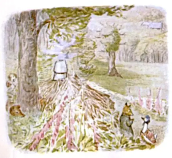 Beatrix Potter's picture for the passage: He was sitting on a log; he sniffed the…