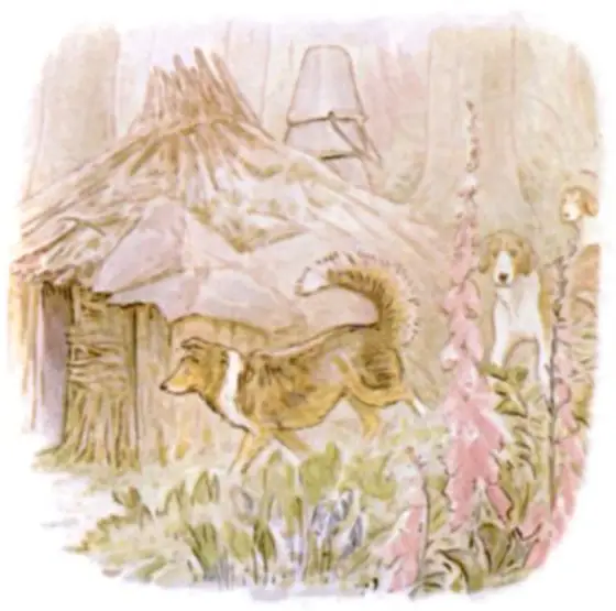 Beatrix Potter's picture for the passage: While she was inside she heard pattering feet round…