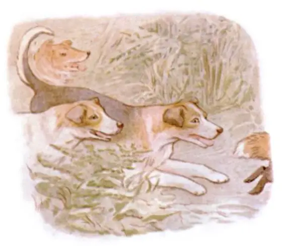 Beatrix Potter's picture for the passage: A moment afterwards there were most awful noises—barking, baying,…