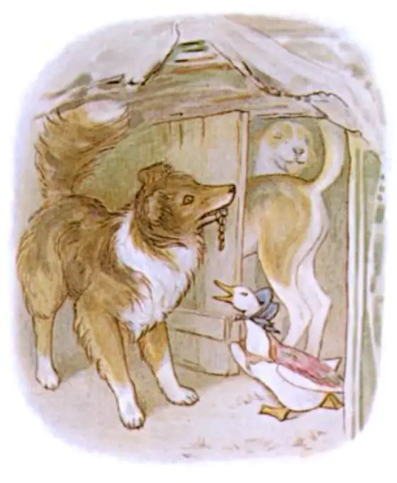 Beatrix Potter's picture for the passage: Unfortunately the puppies rushed in and gobbled up all…