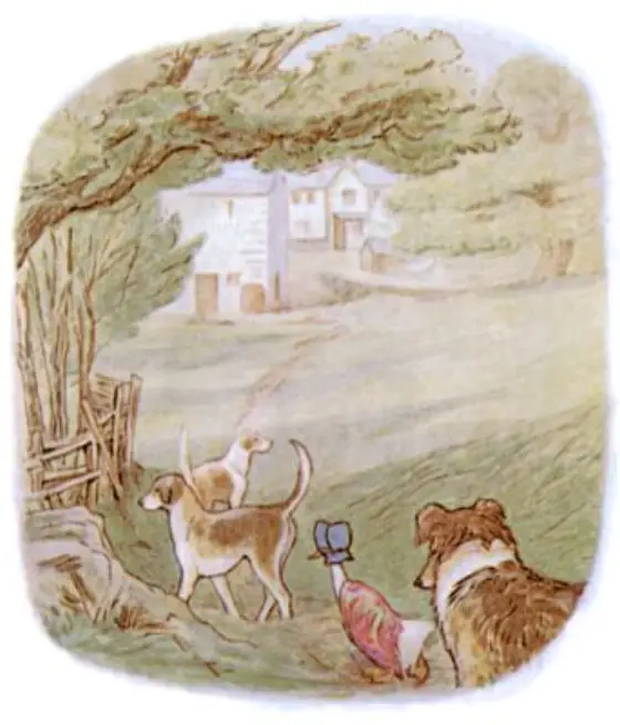 Beatrix Potter's picture for the passage: Jemima Puddle-duck was escorted home in tears on account…