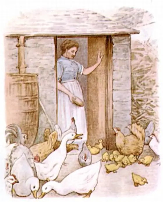 Beatrix Potter's picture for the passage: What a funny sight it is to see a…