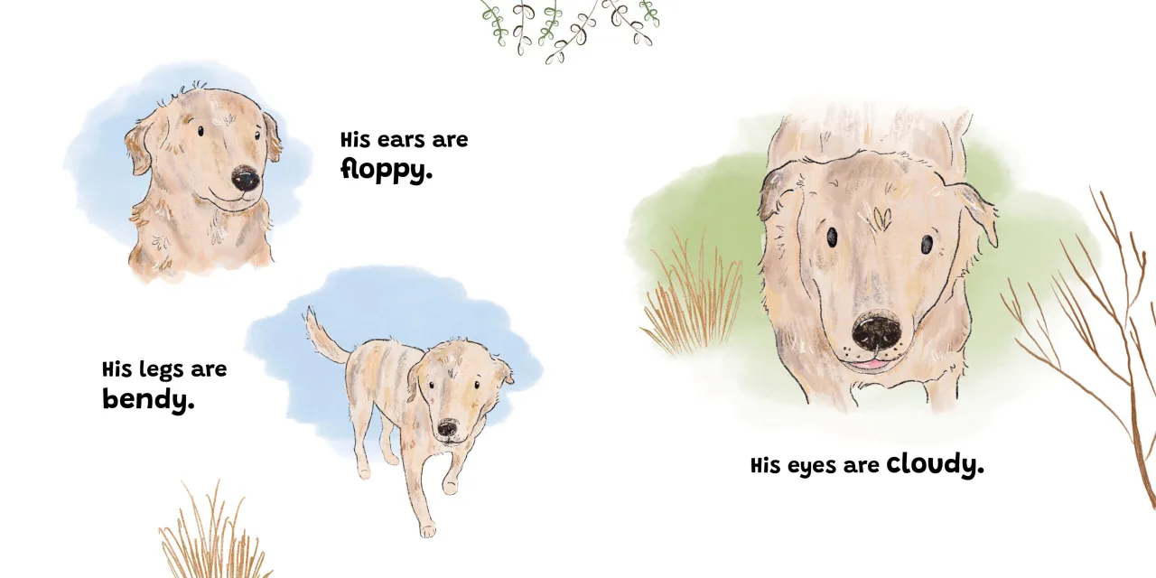 Jock and Me — illustrated spread 2 of 12. Official Book Dash page image with embedded story text and artwork.