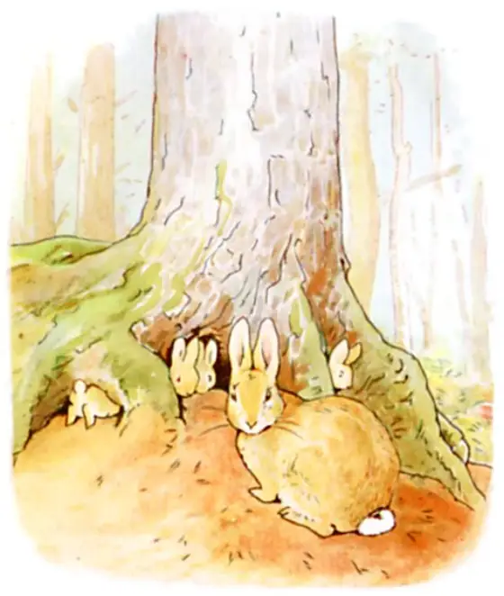 Four little rabbits with their mother in the sand-bank under the fir-tree roots.