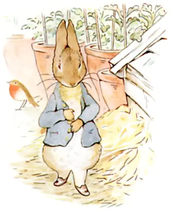 Peter, feeling rather sick, going to look for parsley.