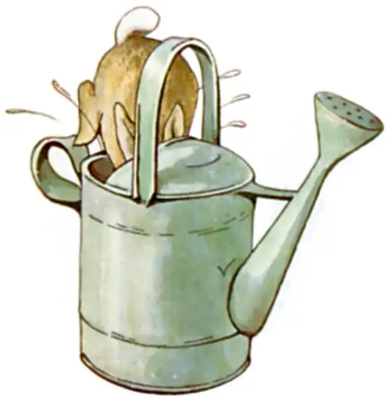 Peter hiding in the watering can inside the tool-shed.