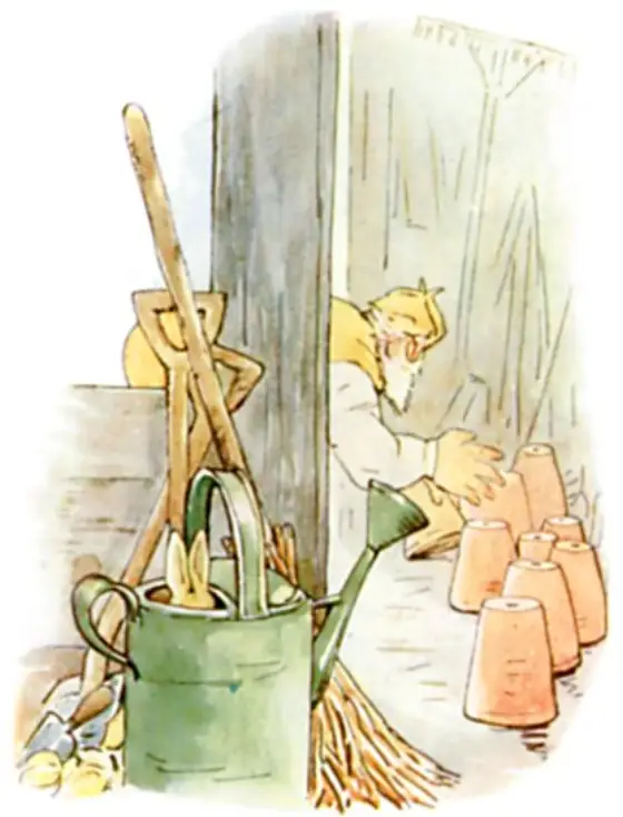 Mr. McGregor turning over flower-pots, looking under each.
