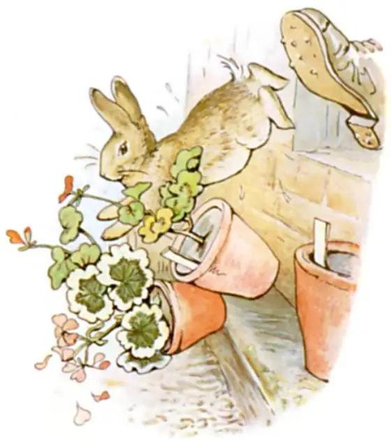 Peter jumping out of the window, upsetting three plants.