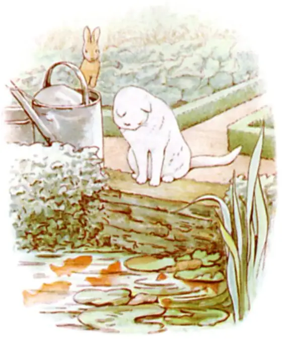 The white cat staring at the gold-fish by the pond.