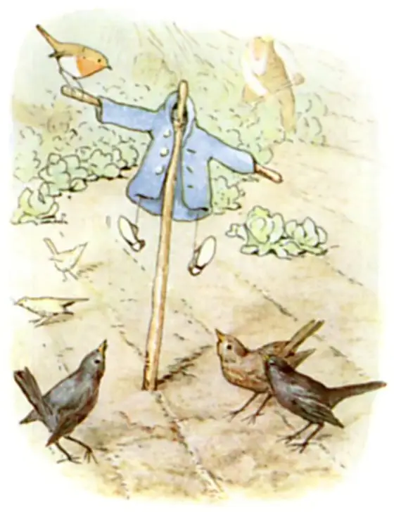 Peter's little blue jacket and shoes on the scare-crow.