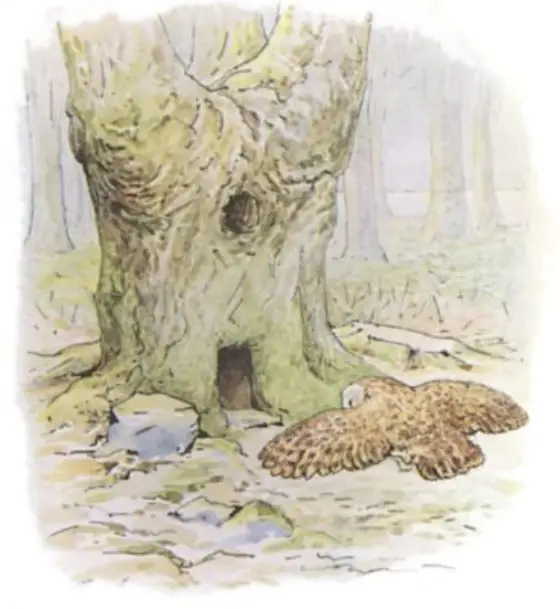 Beatrix Potter's picture for the passage: In the middle of the lake there is an…
