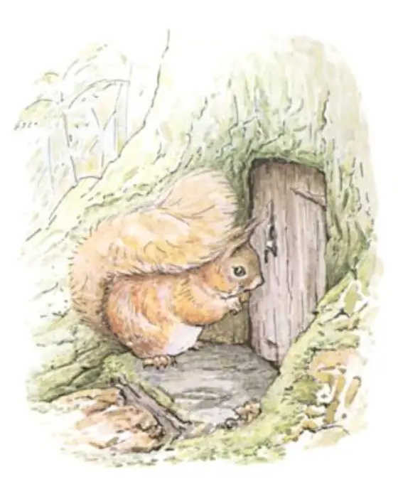 Beatrix Potter's picture for the passage: He shut the door in Nutkin's face. Presently a…