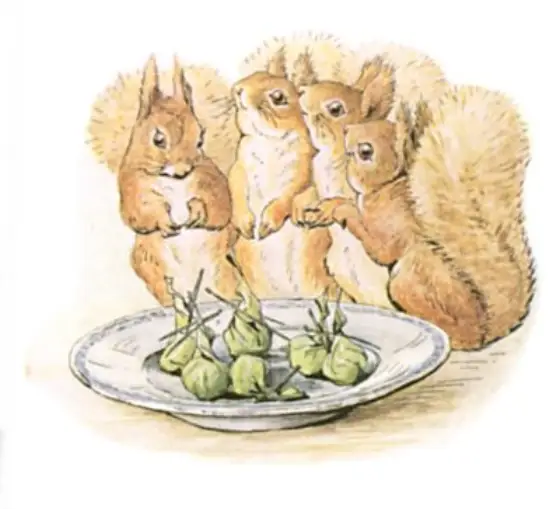 Beatrix Potter's picture for the passage: On the fourth day the squirrels brought a present…