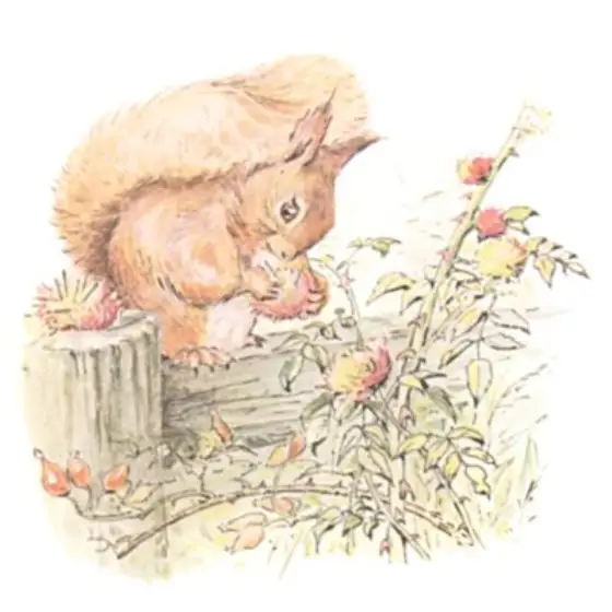 Beatrix Potter's picture for the passage: The other squirrels hunted up and down the nut…