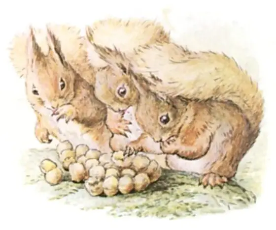 Beatrix Potter's picture for the passage: On the fifth day the squirrels brought a present…