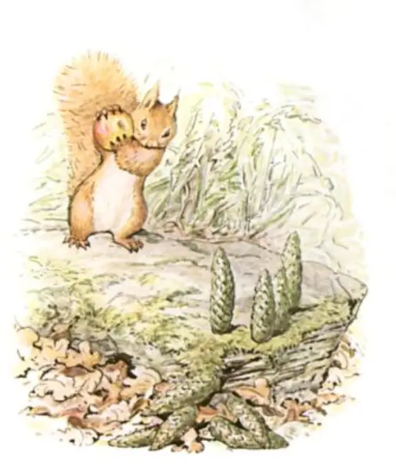 Beatrix Potter's picture for the passage: The squirrels filled their little sacks with nuts.…