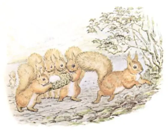 Beatrix Potter's picture for the passage: On the sixth day, which was Saturday, the squirrels…