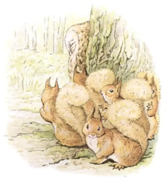 Beatrix Potter's picture for the passage: When they came back very cautiously, peeping round the…