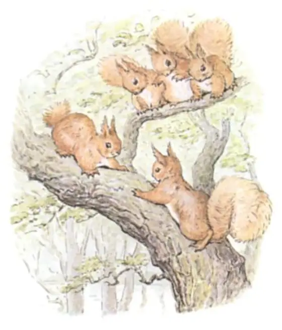 Beatrix Potter's picture for the passage: And to this day, if you meet Nutkin up…